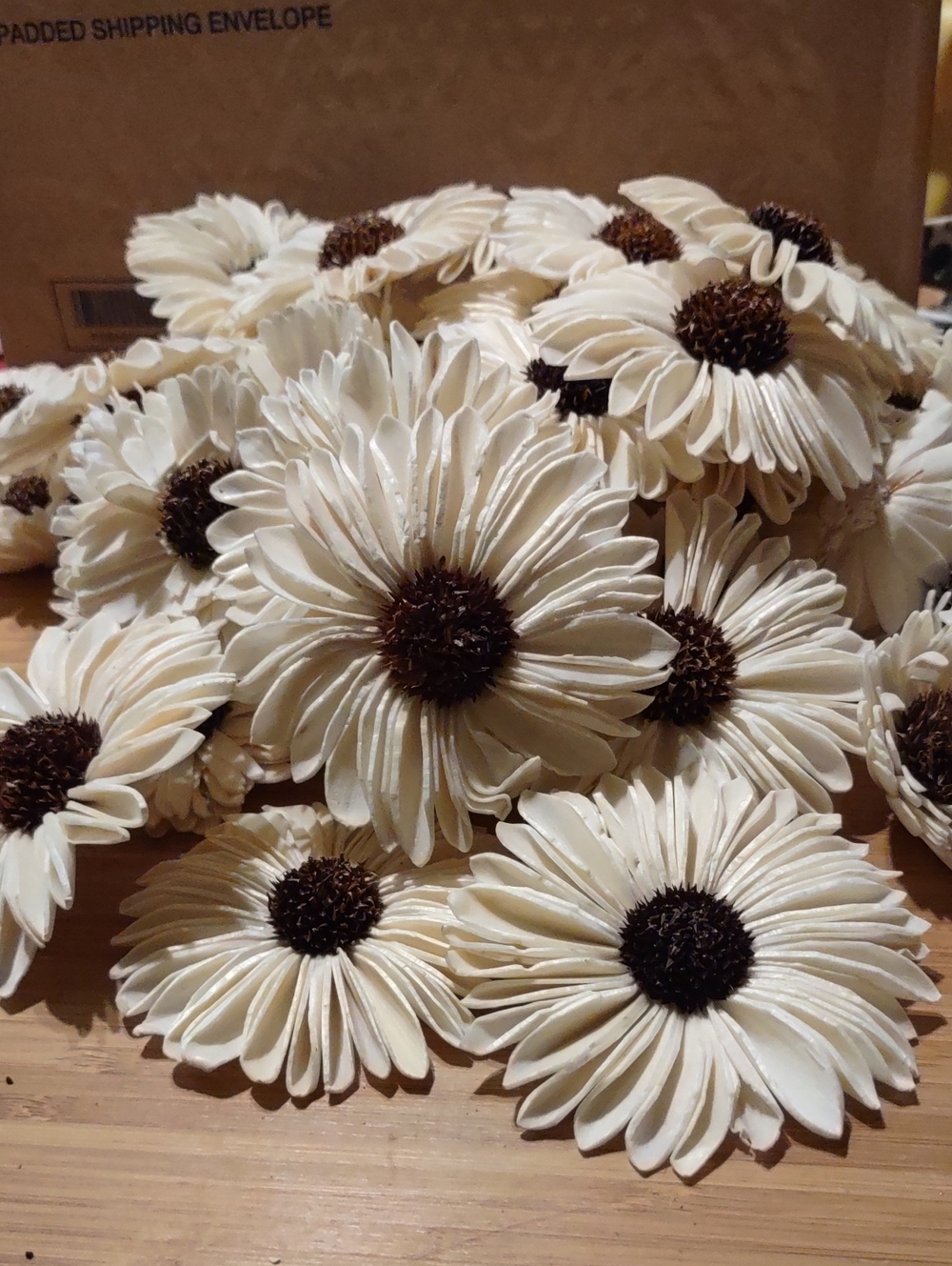 Cream Sola Wood Sunflowers 56 Total